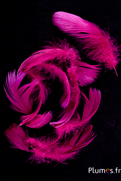 Oie - 4-6 cm - aubergine-cerise